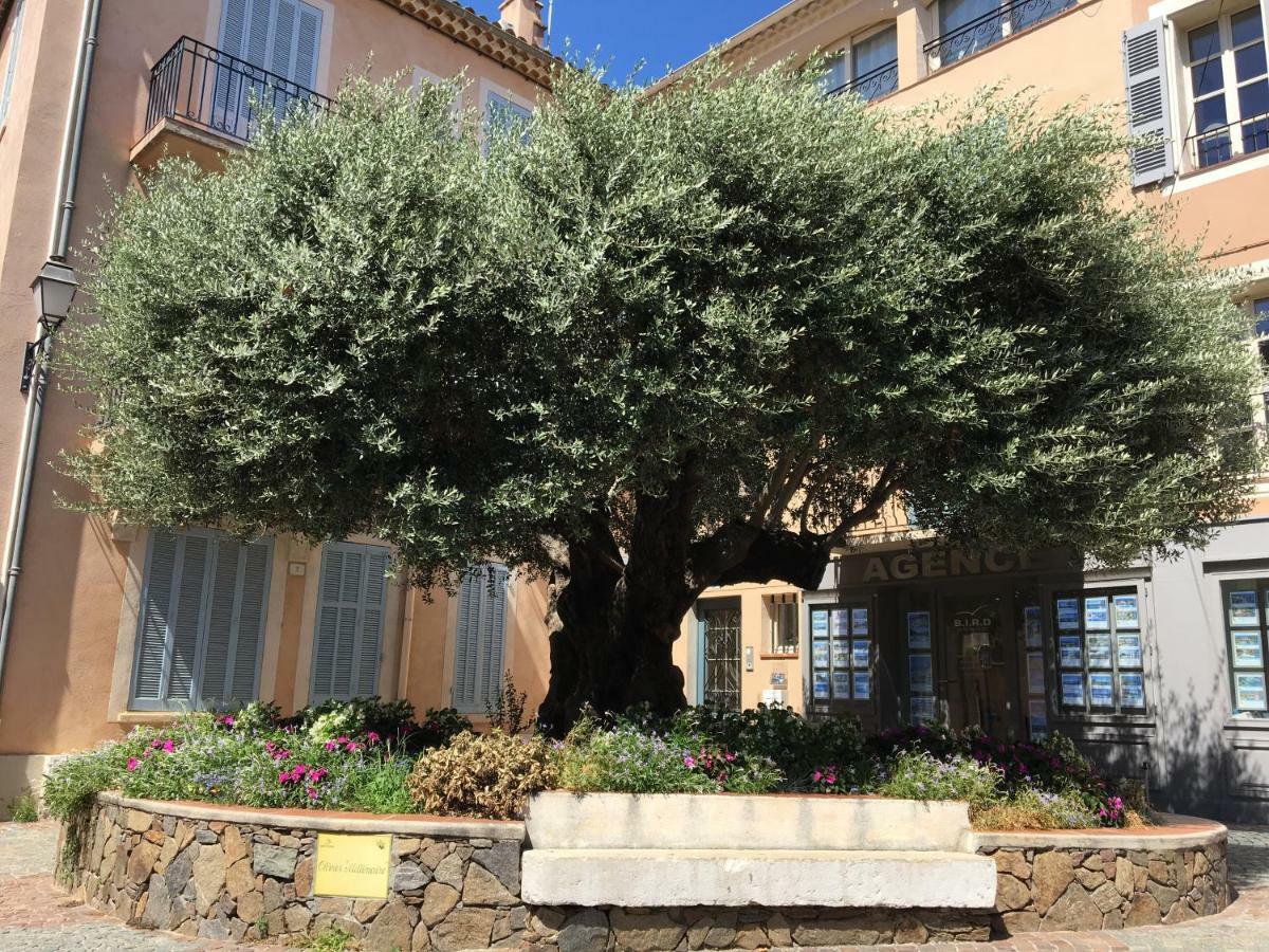 Bastide Du Levant Sainte-Maxime Exterior photo